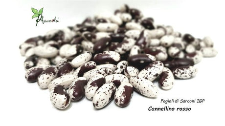 Fagioli di Sarconi Cannellino Rosso 