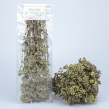 Origano Selvatico Lucano